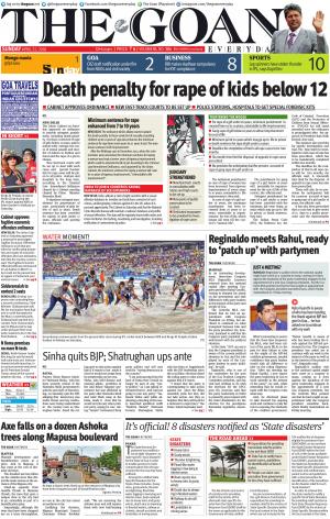THE GOAN EVERYDAY cover image