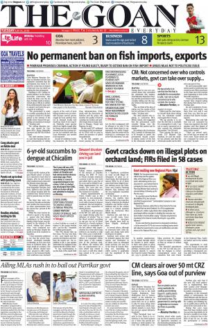 THE GOAN EVERYDAY cover image