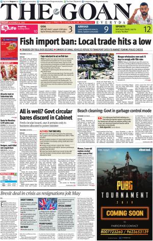 THE GOAN EVERYDAY cover image