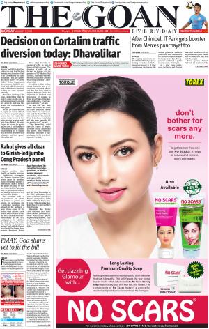 THE GOAN EVERYDAY cover image