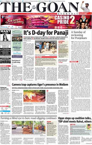 THE GOAN EVERYDAY cover image