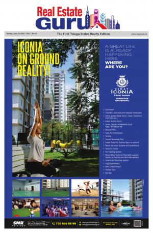 English Version cover image