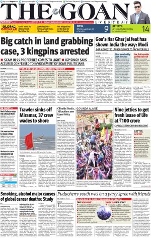 THE GOAN EVERYDAY cover image