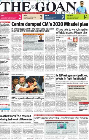 THE GOAN EVERYDAY cover image