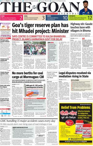 THE GOAN EVERYDAY cover image