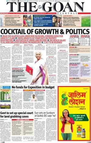 THE GOAN EVERYDAY cover image