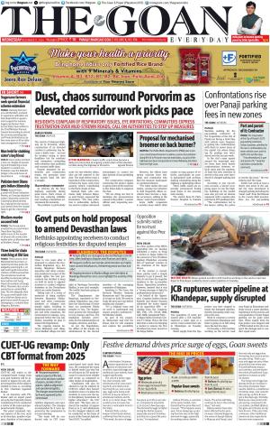 THE GOAN EVERYDAY cover image