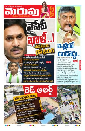 Merupu cover image