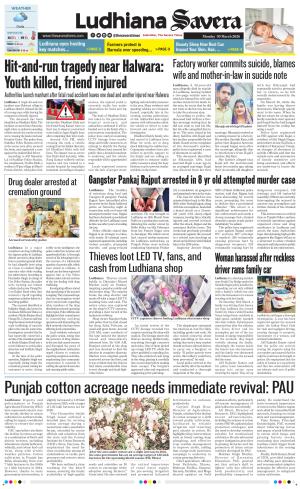 Ludhiana Savera cover image