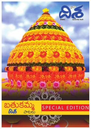 Special Edition cover image