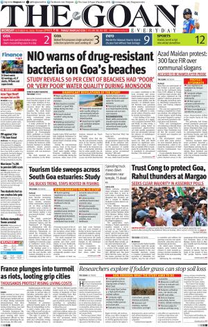 THE GOAN EVERYDAY cover image