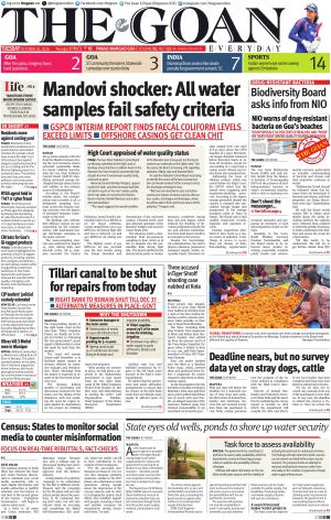 THE GOAN EVERYDAY cover image