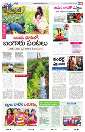 Special Edition cover image