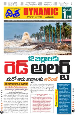Disha Dynamic cover image